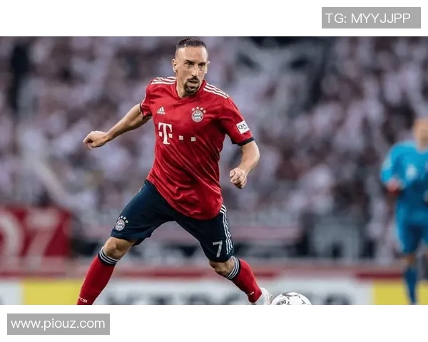 优雅与激情交织的绿茵传奇法国足球明星的魅力之名